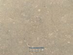 Fossil green 0.02 honed - Image 3